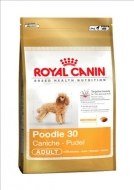 Royal Canin Poodle Adult 1.5kg - cena, srovnání