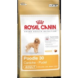 Royal Canin Poodle Adult 0.5kg
