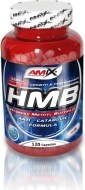 Amix HMB 220kps - cena, srovnání