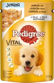 Pedigree Junior 100g