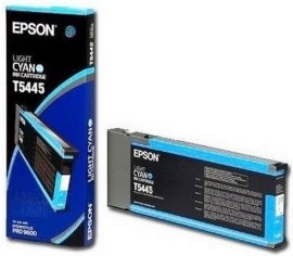 Epson C13T544500