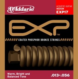 D´addario EXP17