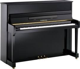 Yamaha P116