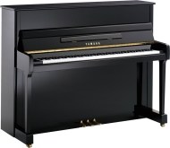 Yamaha P116 - cena, srovnání