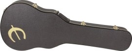 Epiphone Flamekat Case