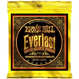 Ernie Ball Everlast 2560