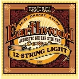 Ernie Ball Earthwood 12 Light