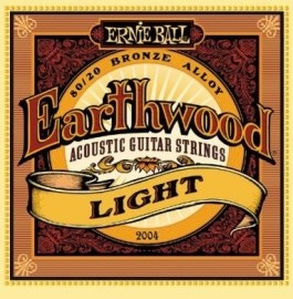 Ernie Ball Earthwood Light