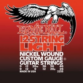 Ernie Ball 12 String Light Nickel Wound