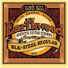 Ernie Ball Earthwood Silk and Steel Regular