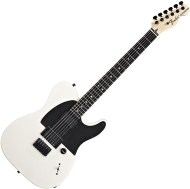 Fender Jim Root Telecaster - cena, srovnání