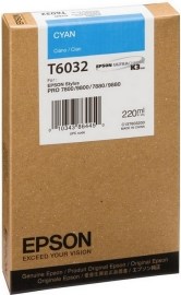 Epson C13T603200