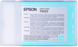 Epson C13T602500