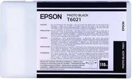 Epson C13T602100