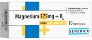 Generica Magnesium 375mg + B6 10tbl - cena, srovnání