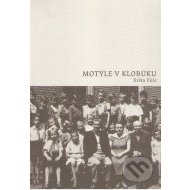 Motýle v klobúku - cena, srovnání