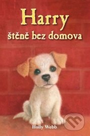 Harry - štěně bez domova