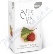 Biogena Fantastic Tea Jahoda & Ginkgo 20x2.5g - cena, srovnání