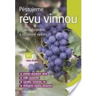 Pěstujeme révu vinnou - cena, srovnání