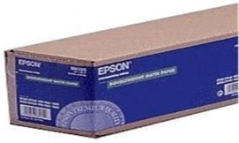 Epson C13S041387