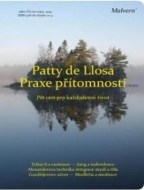 Praxe přítomnosti - cena, srovnání