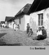 Eva Davidová - cena, srovnání