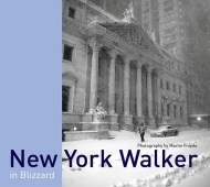 New York Walker - cena, srovnání