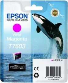 Epson C13T760340