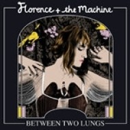 Florence And The Machine - Lungs & Instrumentals - cena, srovnání