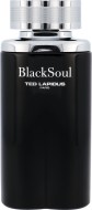 Ted Lapidus Black Soul 100ml - cena, srovnání