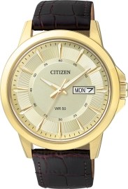 Citizen BF2013 