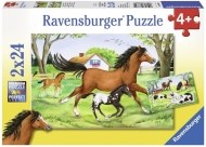 Ravensburger Svet koní - 2x24 - cena, srovnání