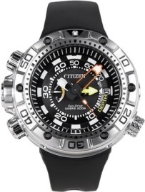 Citizen BN2021 