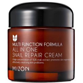 Mizon Multi Function Formula All In One Snail Repair Cream 35ml