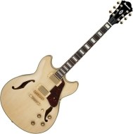 Ibanez AS73G - cena, srovnání