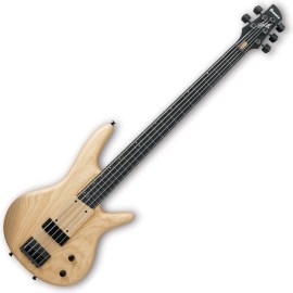 Ibanez GWB205
