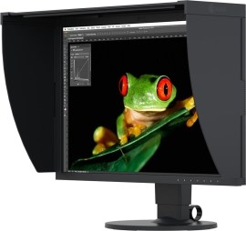 Eizo CG2420