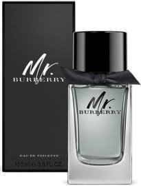 Burberry Mr.Burberry 100ml