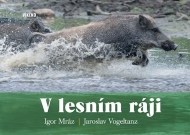 V lesním ráji - cena, srovnání