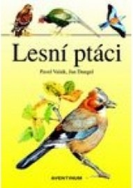 Lesní ptáci