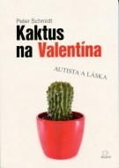 Kaktus na Valentína - cena, srovnání