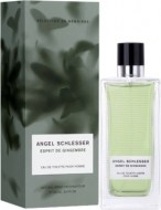 Angel Schlesser Esprit de Gingembre 100ml - cena, srovnání