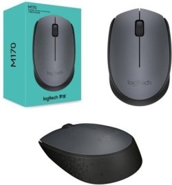 Logitech M170