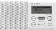 Sony XDR-P1DBW - cena, srovnání