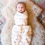 Ergobaby Swaddler