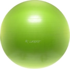 Life Fitness Anti-Burst 65cm