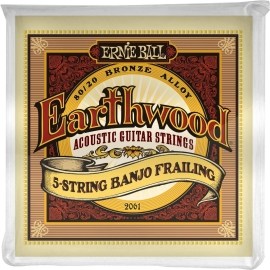 Ernie Ball Earthwood 2061