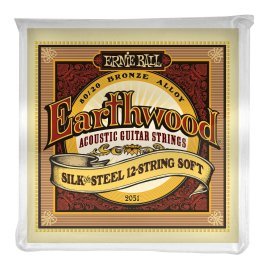 Ernie Ball Earthwood 2051