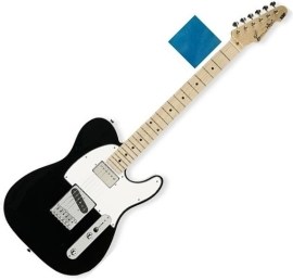 ESP Ron Wood