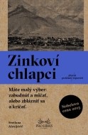 Zinkoví chlapci - cena, srovnání